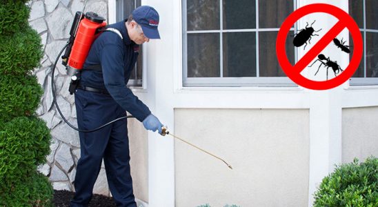 Mavişehir Böcek İlaçlama böcek ilaçlama ve haşere kontrolü — ilaclama-tr.com
